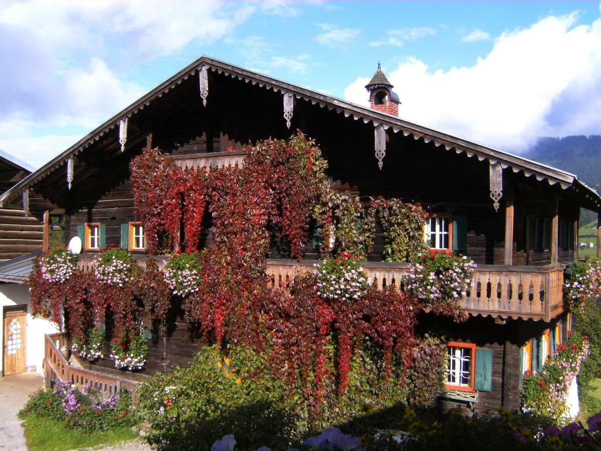 Villa Vordersattlegghofhuette à Hüttau Extérieur photo